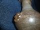 Grecian Bottle Jar From Digging Expedition Mint Condition Irridescent Greek photo 10