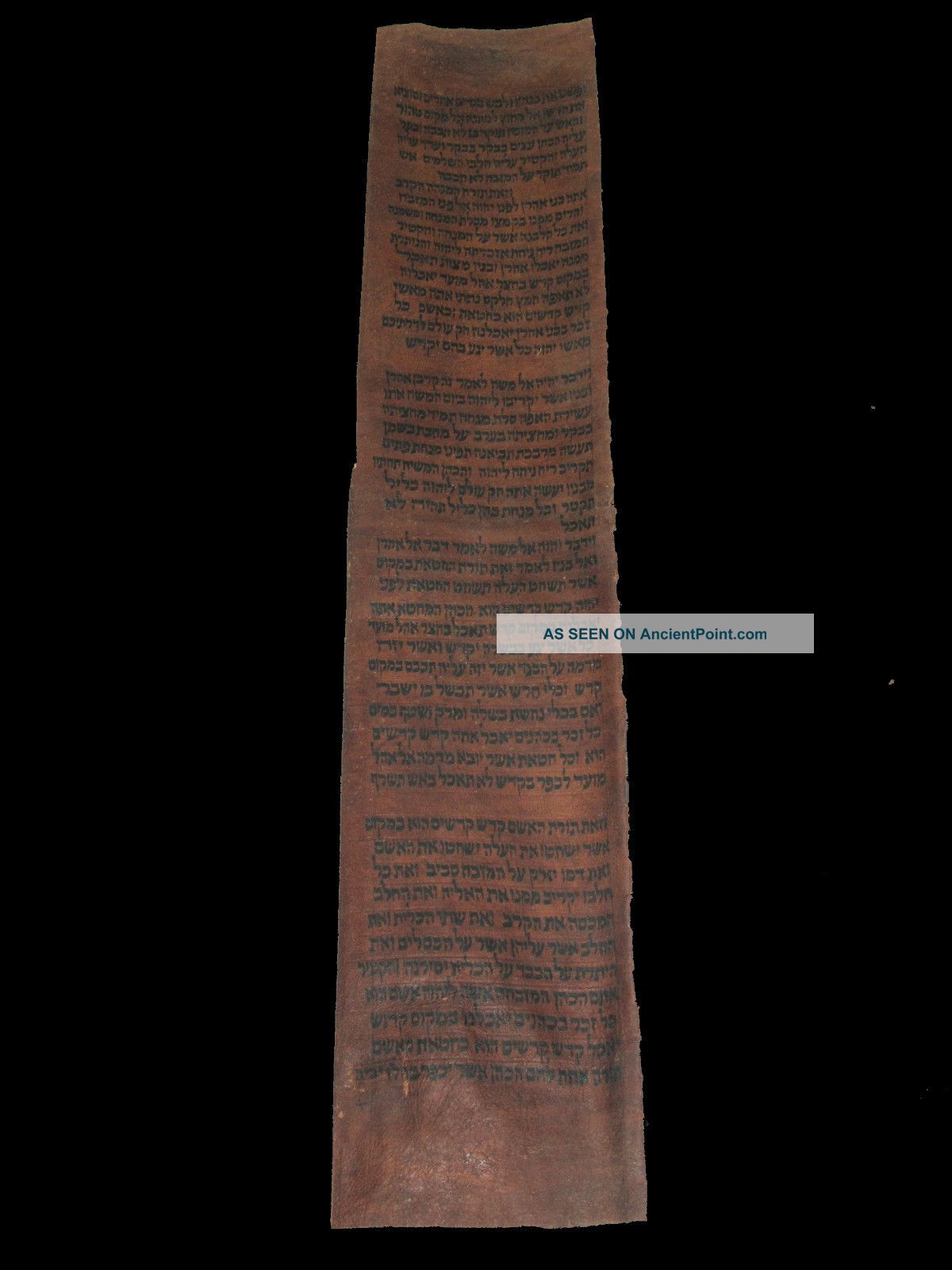 Torah Scroll Bible Vellum Manuscript Fragment Judaica 450 Yrs Yemen Middle Eastern photo