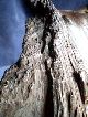 Chunk ~ Irish Bog Oak ~ Ancient Petrified Wood Irish photo 3