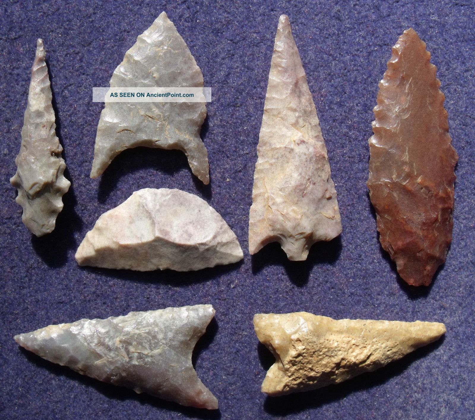 7  Sahara Neolithic Points And Tools Neolithic & Paleolithic photo