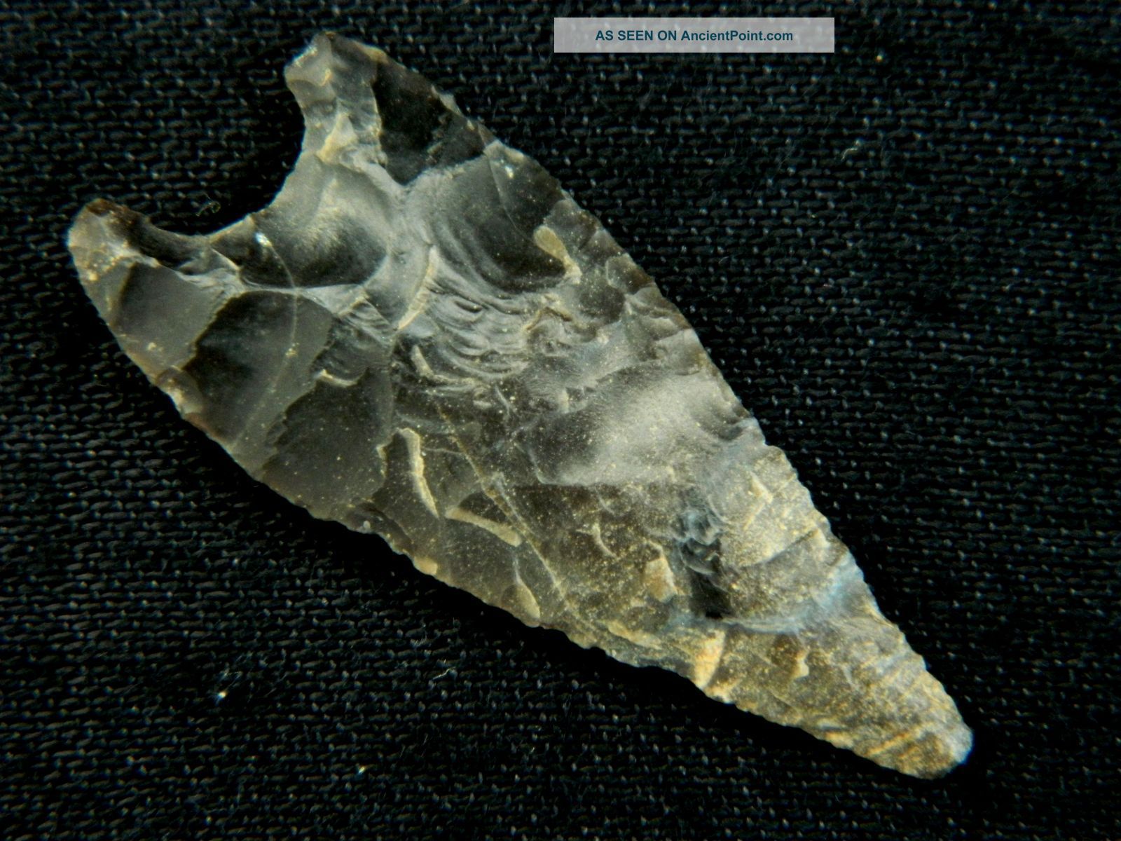 Neolithic Neolithique Flint Arrowhead - 6500 To 2000 Before Present - Sahara Neolithic & Paleolithic photo