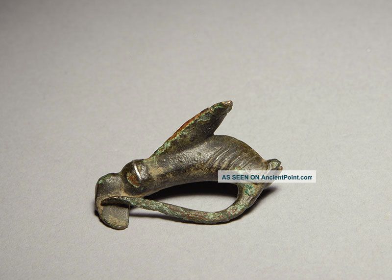 Ancient Roman Bronze Fly Wasp Insect Jewelry Brooch Roman photo