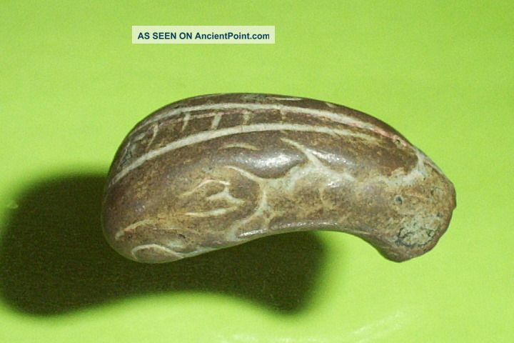 Authentic Ancient Roman Snake Head Military Standard Scepter Tip Serpent Antique Roman photo