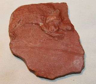Ancient Roman Pottery Shard Bear 4th Century Samian photo