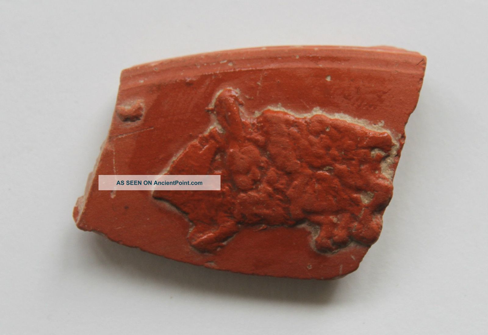 Ancient Roman Pottery Shard Hare 4th Century Adsamian Amorous Pose Roman photo