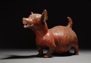 Ancient Pre Columbian Colima Pottery Dog 200 B.  C. photo