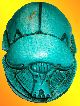 Egyptian Pharaonic Scarab,  Top Quality Hand - Made Scarab Made In Luxor Egyptian photo 3
