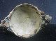 Authentic Early 17th Century French Pallisy - Bove Porridge Or Wine Bowl. Other photo 2