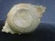 Authentic Early 17th Century French Pallisy - Bove Porridge Or Wine Bowl. Other photo 3
