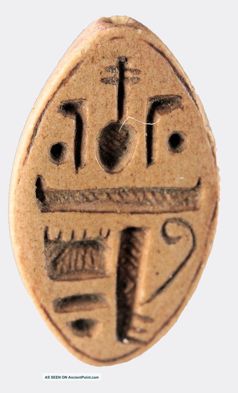 Egyptian Calcite Cowroid Seal Egyptian photo