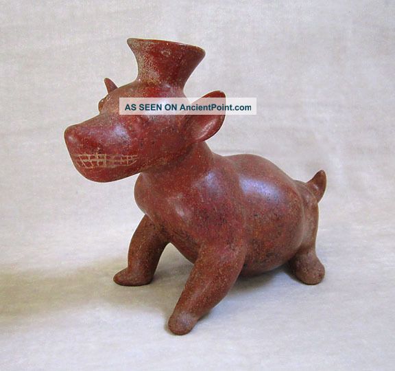 Large Pre - Columbian Colima Terracotta Seated Dog Vessel,  Circa 300 B.  C. The Americas photo