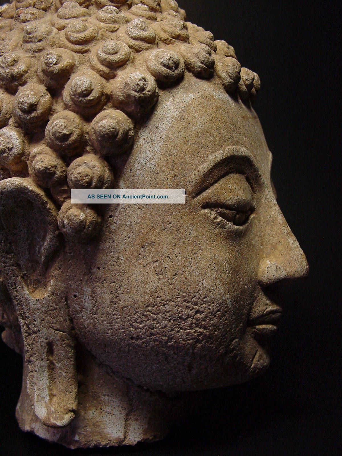 Rare Stucco Fragmented ' Sakyamuni ' Buddha Head ' Sukhothai ',  14 - 16th C. Statues photo