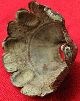 Ancient Bronze Fragment From Greek Cup 40 By 50mm 078 Greek photo 1