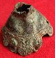 Ancient Bronze Fragment From Greek Cup 40 By 50mm 078 Greek photo 4
