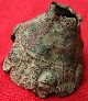 Ancient Bronze Fragment From Greek Cup 40 By 50mm 078 Greek photo 6