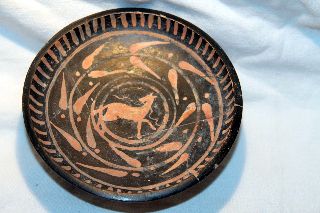 Ancient Greek Pottery Xenon Painted Horse Plate 4th Century Bc Equestrian photo