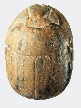 Egyptian Brown Stone Heart Scarab photo
