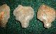 (4) Aterian (neanderthal) Early Man Points,  Ancient African Arrowheads Aaca Neolithic & Paleolithic photo 2