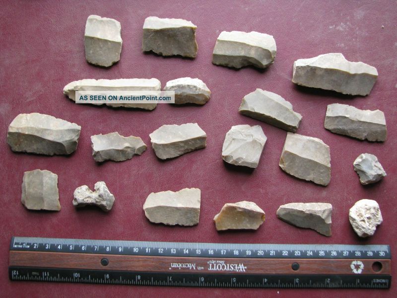 Neolithic Artifact - 20 Flint Tool Blades European 7330 Neolithic & Paleolithic photo