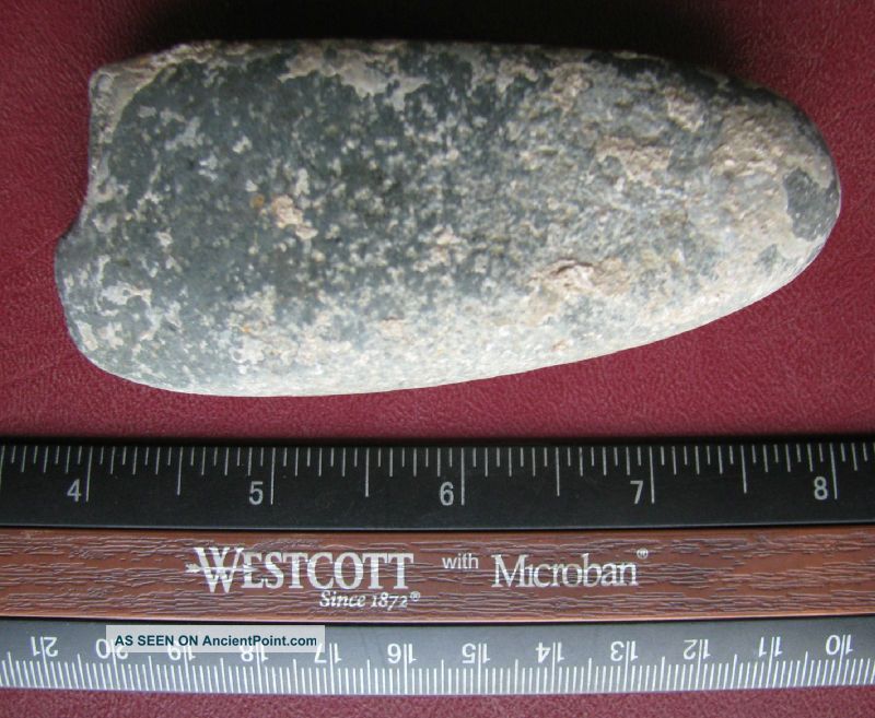 Neolithic Artifact - Stone Tool Celt Axe Europe 7334 Neolithic & Paleolithic photo