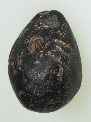Pre Columbian Black Clay Pendant Bead photo
