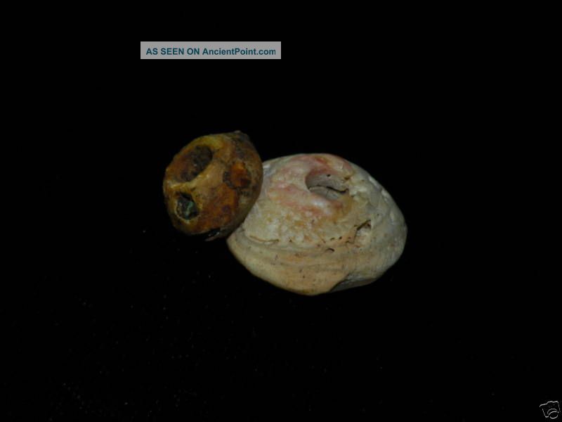 Pre Columbian 2 White Shell Spindle Whorl Beads The Americas photo