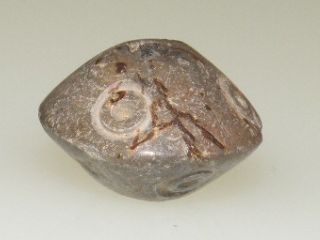 Pre Columbian Stone Spindle Whorl Eye Bead photo
