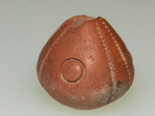 Pre Columbian Clay Spindle Whorl Bead photo
