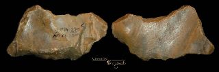 British Palaeolithic Clactonian Stone Age Tool 0167 photo