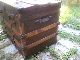 Antique Steamer Trunk Vintage 1900 Flat Top Victorian Chest Great Table Other photo 3