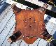 Vintage 8 Sided Tapered Fern Stand Inlay On Top Look 1900-1950 photo 2