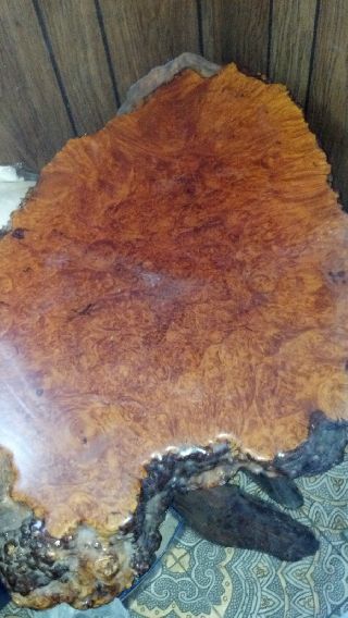 Cross Sectioned Tree Trunk & Root Coffee Table photo