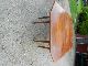 Vintage Shaker Style Solid Maple 8 - Leg Drop Leaf Dining Table 1900-1950 photo 4