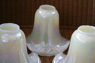 Old Milk Glass Lampshades X3 Lustre Finish Light Fitting photo