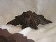 6 Antique Oak,  Leaf & Acorn Drawer Pulls From Victorian Dresser Parts & Salvaged Pieces photo 2