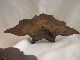 6 Antique Oak,  Leaf & Acorn Drawer Pulls From Victorian Dresser Parts & Salvaged Pieces photo 3