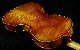 Grandiose German Violin Labeled Markus Ebstein C.  2003 4/4 Old Antique Violino String photo 8