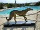 French Art Deco Spelter Statue Of A Greyhound On Granit Base C1920s Art Deco photo 1
