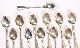 12 Italian Deco :: Menzani :: Bologna Italy :: Silver Demitasse Spoons :: Case Other photo 7