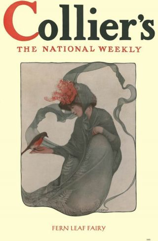 1913 Fern Leaf Fairy Girl Botanical Art Nouveau Poster New Printing photo