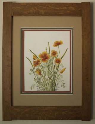 Mission Style Art Quartersawn Oak Arts & Crafts Framed Print - Mexican Poppies photo