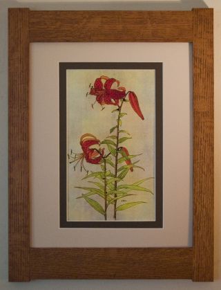 Mission Style Bungalow Quartersawn Oak Arts & Crafts Framed Print - Tiger Lilly photo