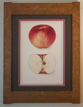 Mission Style Bungalow Quartersawn Oak Arts & Crafts Framed Print - Carson Apple photo