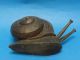 Huge Signed Antique Arts & Crafts Carved Wood Snail ~ 11 