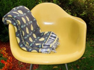 Eames Herman Miller Yellow Ochre Light Fiberglass Arm Shell Chair Midcentury photo