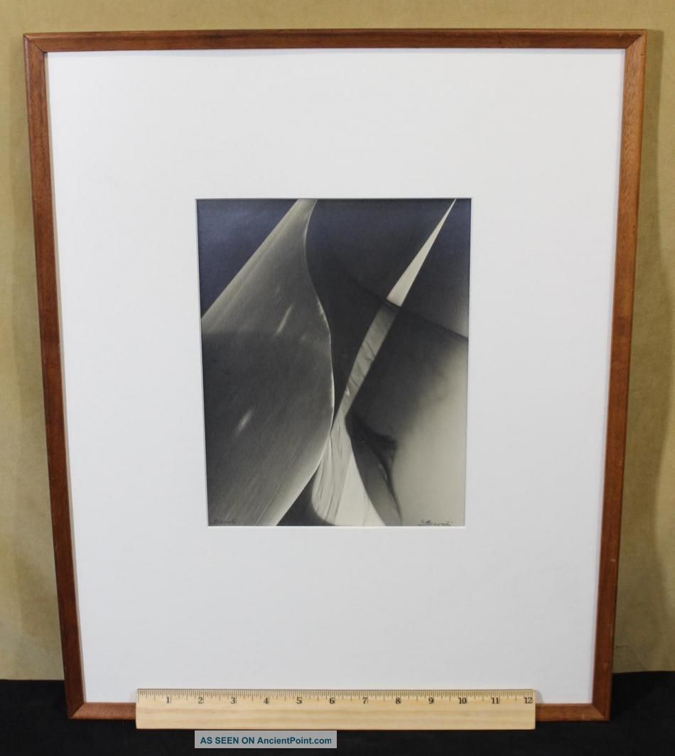 Vintage Authentic Lotte Jacobi Photogenic Abstract Photograph Nr Mid-Century Modernism photo