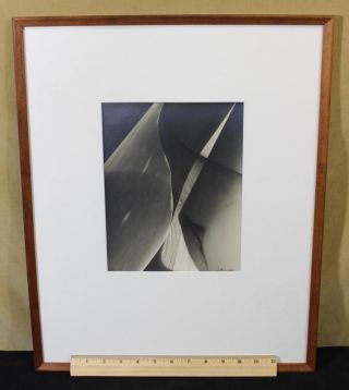 Vintage Authentic Lotte Jacobi Photogenic Abstract Photograph Nr photo