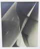 Vintage Authentic Lotte Jacobi Photogenic Abstract Photograph Nr Mid-Century Modernism photo 2