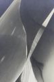Vintage Authentic Lotte Jacobi Photogenic Abstract Photograph Nr Mid-Century Modernism photo 3