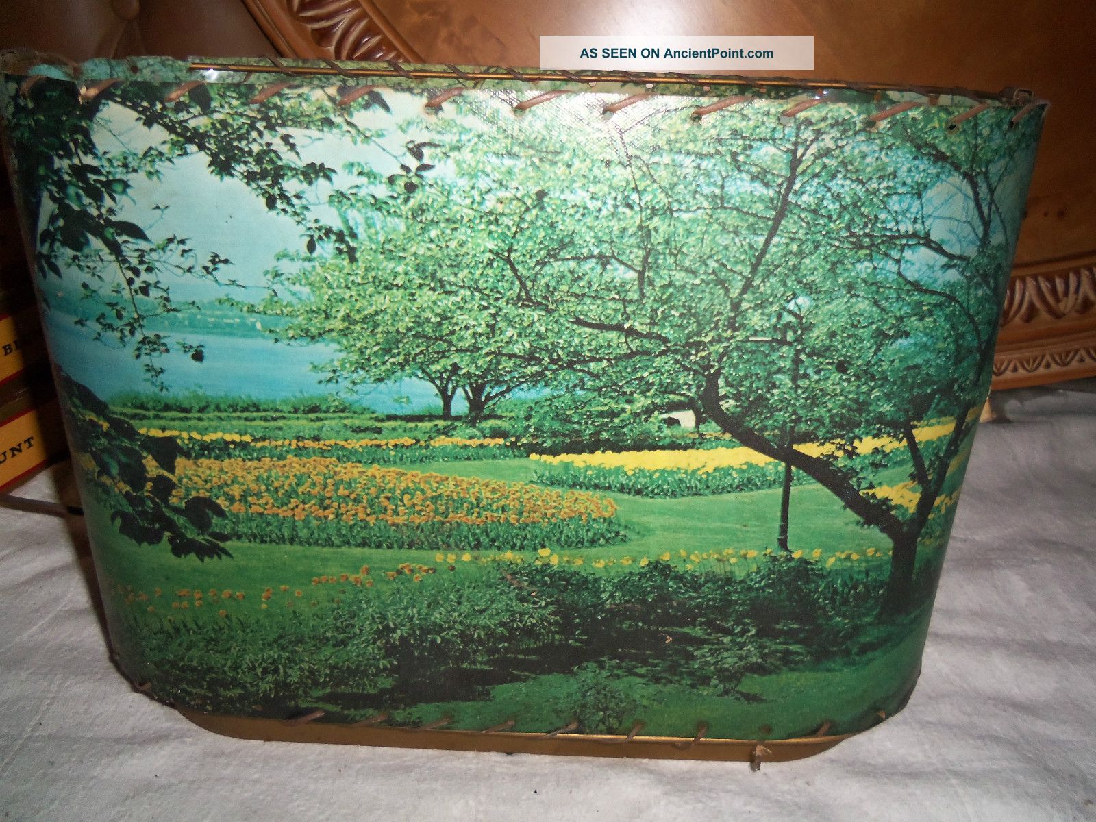 Rare Mid Century 1950 ' S Scenic Still Lamp Working Estate Item Mid-Century Modernism photo